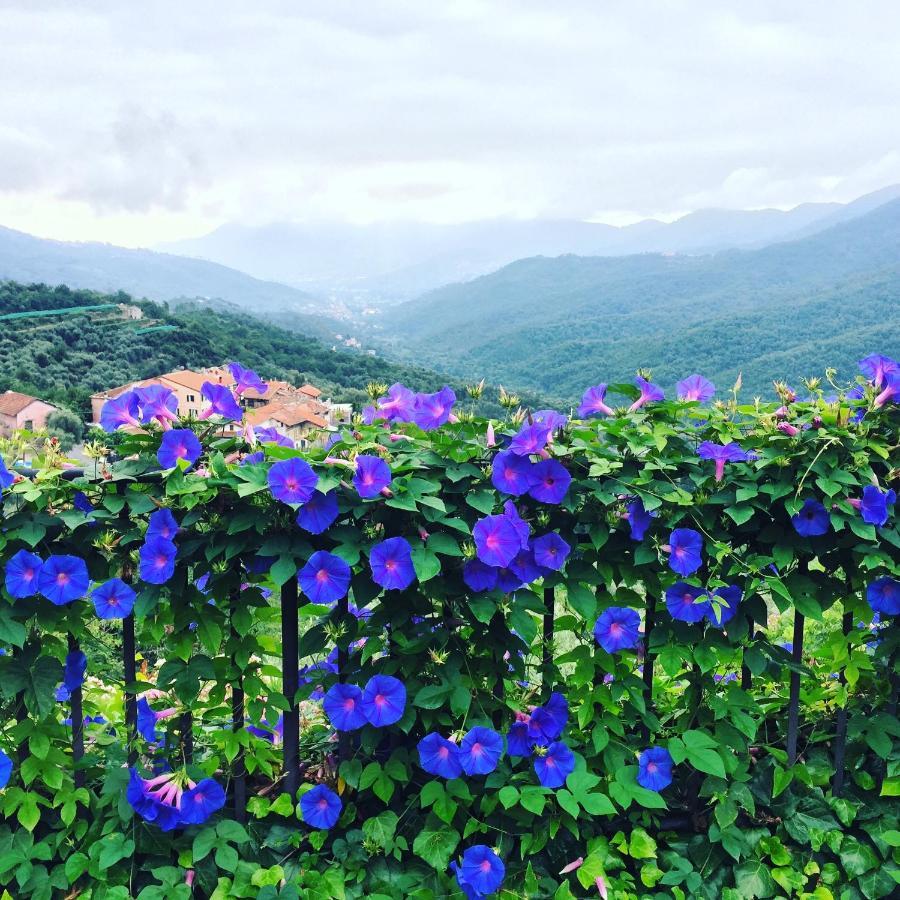 Villa Barca - Luxury Vacation Rentals - Wellness & Pool Casanova Lerrone Экстерьер фото